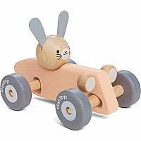 Bunny Racing Car