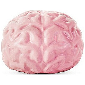 Giant Brain Ball