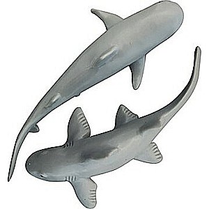 Club Earth Mega Stretch Shark  (assorted)