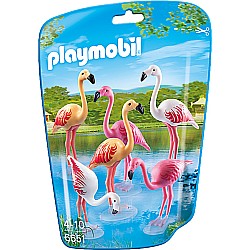 Flock of Flamingos *D*