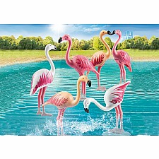 Flock of Flamingos
