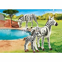 Zebras With Foal