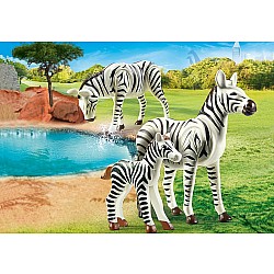 Zebras with Foal *D*