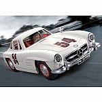 Mercedes 300 SL W198