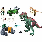 Playmobil Dinos toy playset