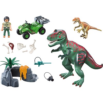 Playmobil Dinos toy playset