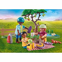 Playmobil Picnic Adventure with Horses