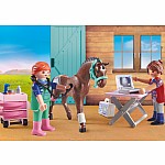 Horse Veterinarian