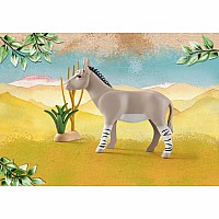 Playmobil Wiltopia - African Wild Donkey
