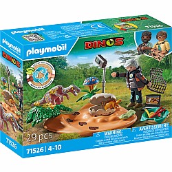 Playmobil Stegosaurus Nest with Egg Thief