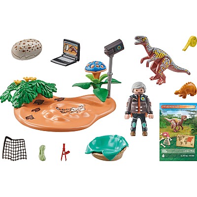 Playmobil Stegosaurus Nest with Egg Thief