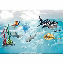 Playmobil Great Barrier Reef Examination