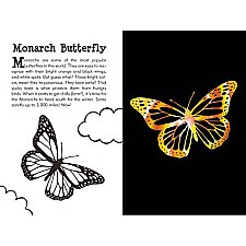 Butterflies & Friends Scratch Art