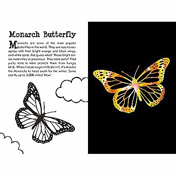 Butterflies & Friends Scratch Art