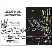 Dot-to-Dot Animals Scratch & Sketch (Trace-Along)