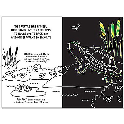 Dot-to-Dot Animals Scratch & Sketch (Trace-Along)