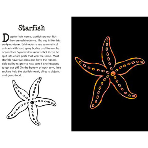 SCRATCH ART ACTIVITY Book ~ Fantasia Under The Sea or Unicorn
