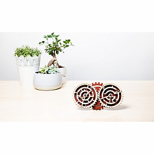 Double Trouble wooden puzzle