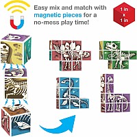 PicassoTiles Magnetic Fossil Dinosaur 3D Puzzle Cube Building Blocks