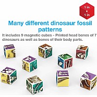 PicassoTiles Magnetic Fossil Dinosaur 3D Puzzle Cube Building Blocks