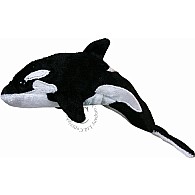 Whale (orca)