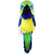 Blue  Gold Macaw