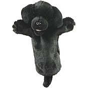 Labrador (black)
