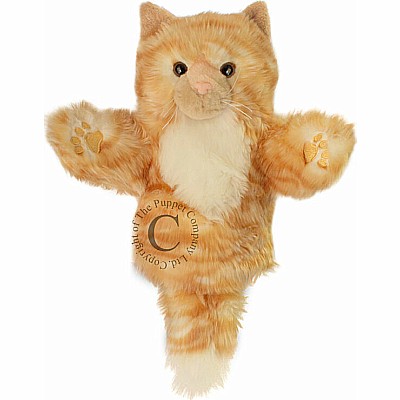 Cat (ginger)