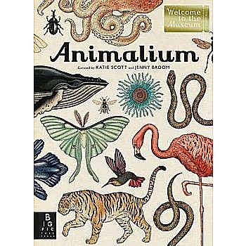 Animalium: Welcome to the Museum