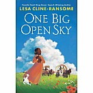 One Big Open Sky