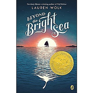 Beyond the Bright Sea paperback