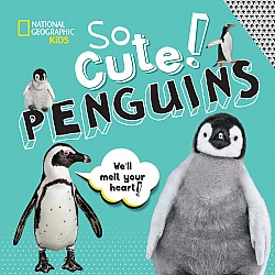 So Cute! Penguins