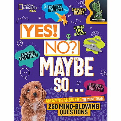 Yes! No? Maybe So...: Amazing Answers to More Than 250 Mind-Blowing Questions