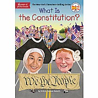 What Is the Constitution? paperback