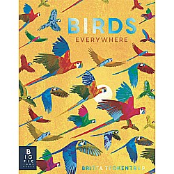 Birds Everywhere