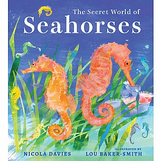 The Secret World of Seahorses