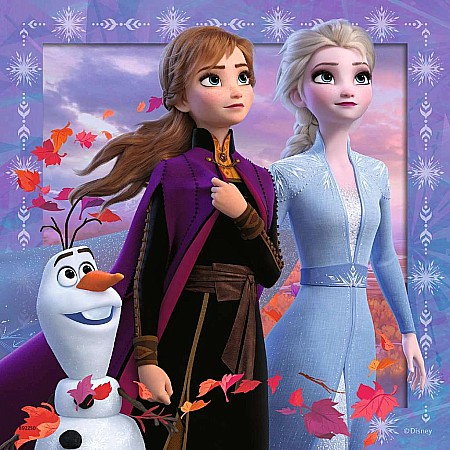 Disney Frozen 2 Journey Starts 3X49 Piece Puzzle