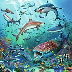 Ravensburger "Ocean Life" (49 Pc 3 in 1 Puzzles)