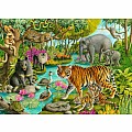 Animals Of India - 60 Piece