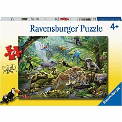 60pc Puzzle - Rainforest Animals
