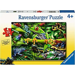 35 Piece Puzzle, Amazing Amphibians