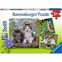 Cuddly Kittens (3 x 49 pc Puzzle)