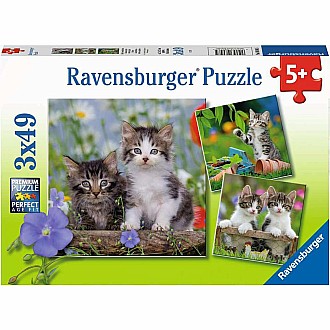 Tigers Kittens 3X49Pc Puzzle
