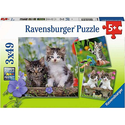 Tigers Kittens 3X49Pc Puzzle