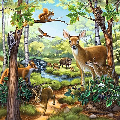 Forest/Zoo/Domestic Anim. 3x49 Pc Puzzle