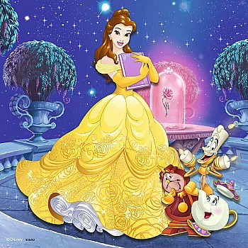 Ravensburger "Princesses" (49 pc 3 in 1 Puzzles)