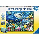 100 Piece Puzzle, Shark Reef