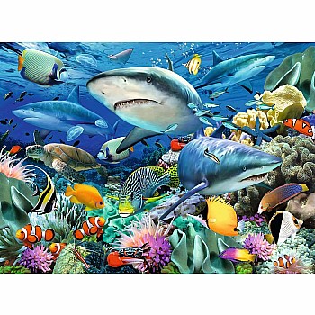 Shark Reef  - 100 Pieces