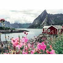 Scandinavian Places - Reine Lofoten Norway Puzzle (1000 pc)
