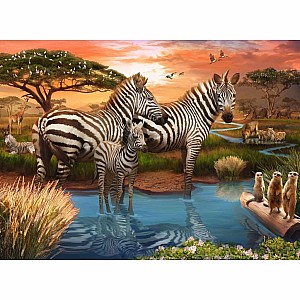 Zebras at the Waterhole 500 Piece Puzzle